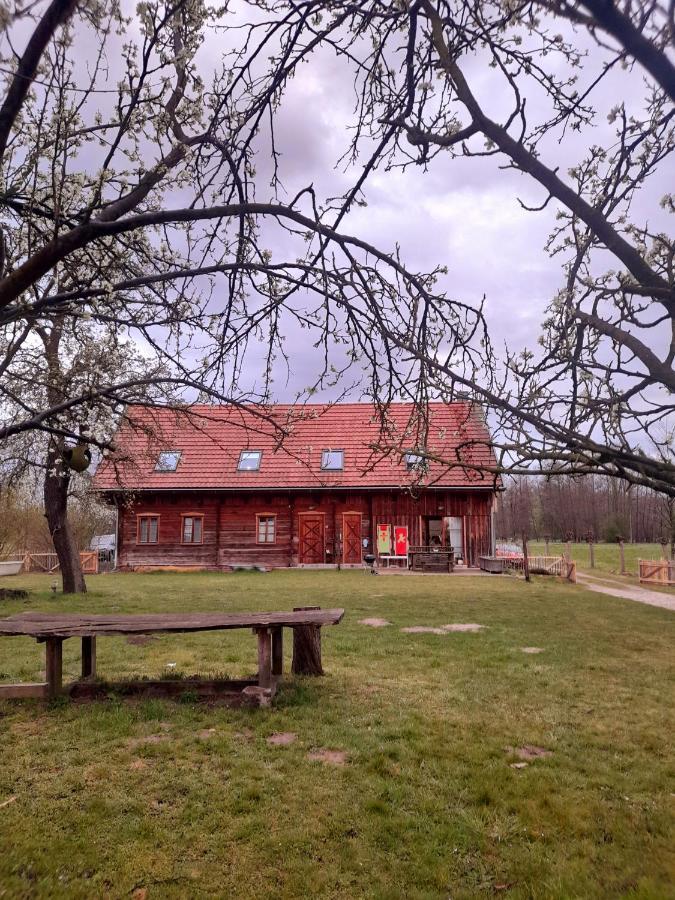 Liljas Haus Im Spreewald Apartman Burg  Kültér fotó